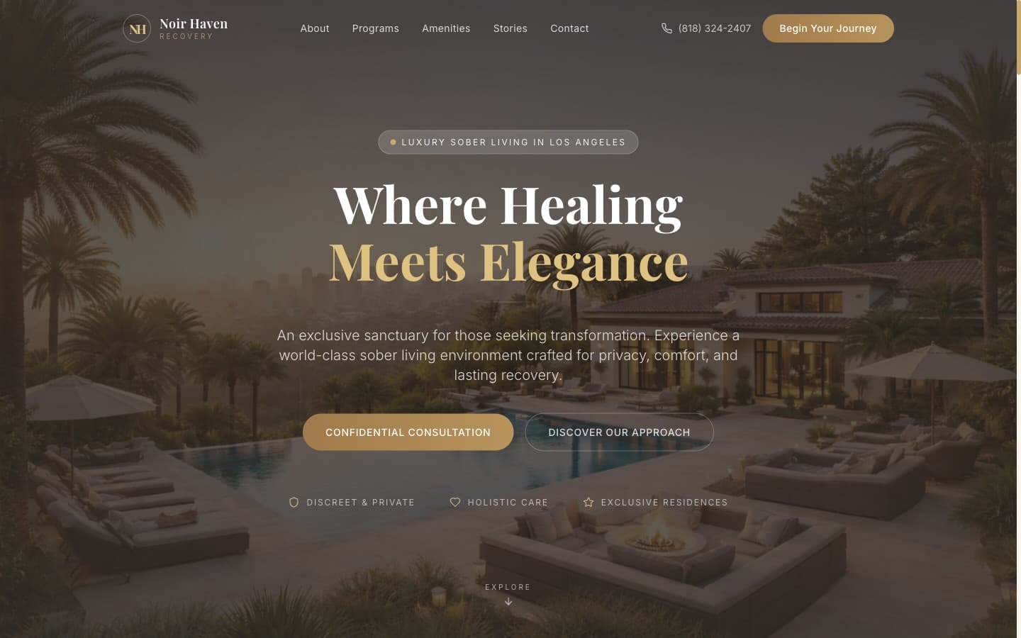 Noir Haven Recovery website